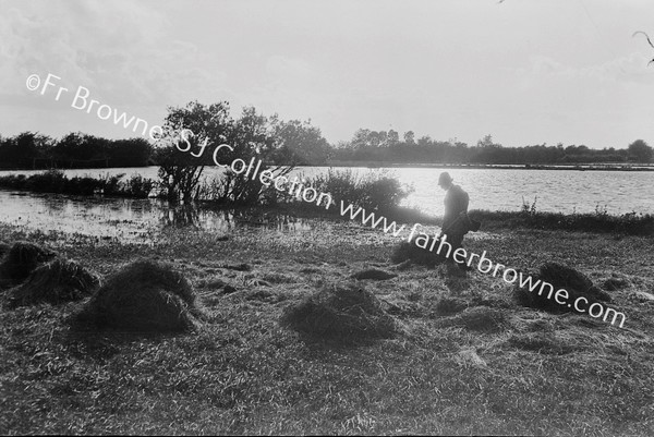 SALVING THE HAY FROM FLOODED FIELDS